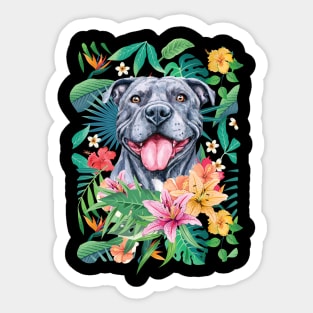 Tropical Gray Pit Bull Pitbull Sticker